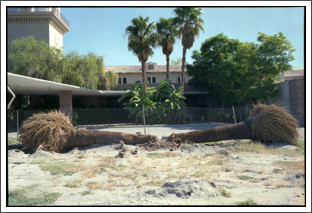 No. 44 Palm Springs, CA